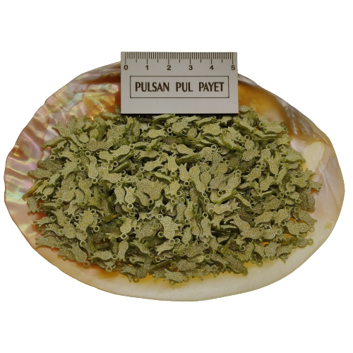 Pleksi Pul Model 237 5x10 mm Renk 400 Simli Altın