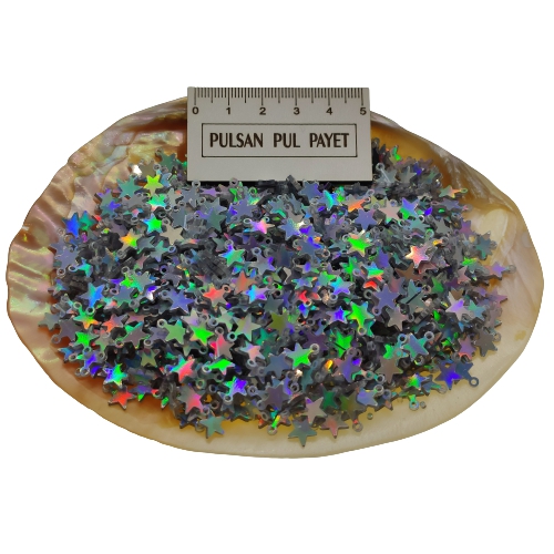 Pleksi