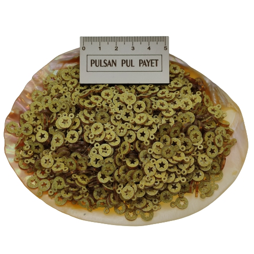 Pleksi Pul Model 274 7x10 mm Renk 400 Simli Altın