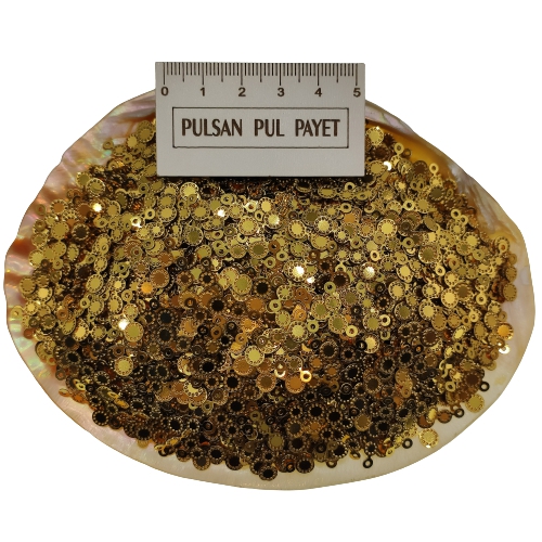 Pleksi